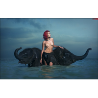 BONE ELEPHANT Â©_8-C0kk9MgCOAJD0ryMgIJUF7obIZao6VBk.jpg